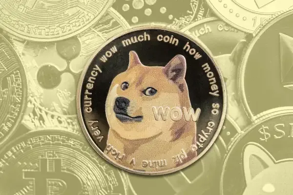 Crypto-DOGE-Coin.webp